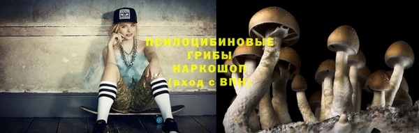 героин Ессентукская
