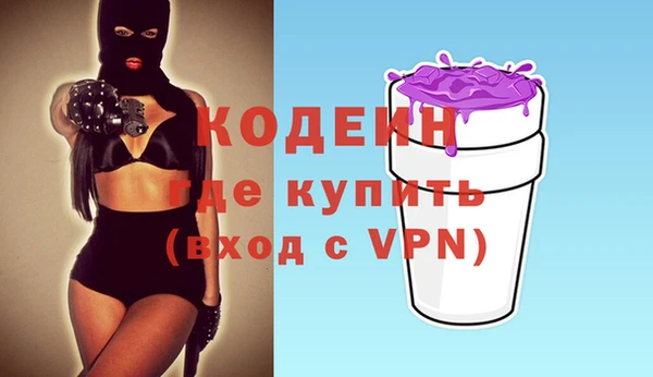 хмурый Михайловск