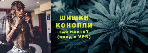 МДПВ Новосибирск