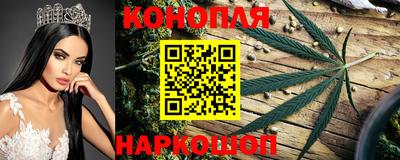 стаф Апшеронск