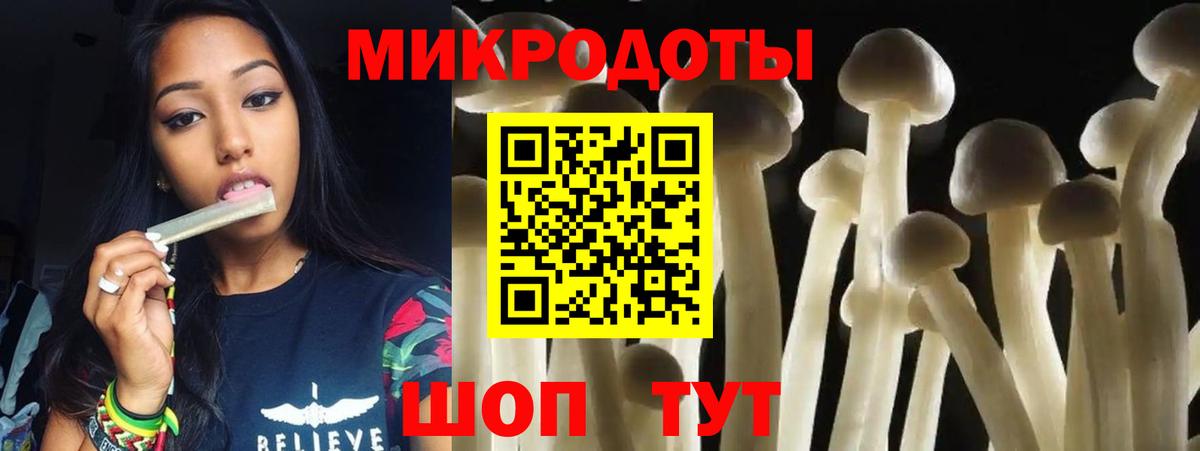 Псилоцибиновые грибы Psilocybe  Белореченск 